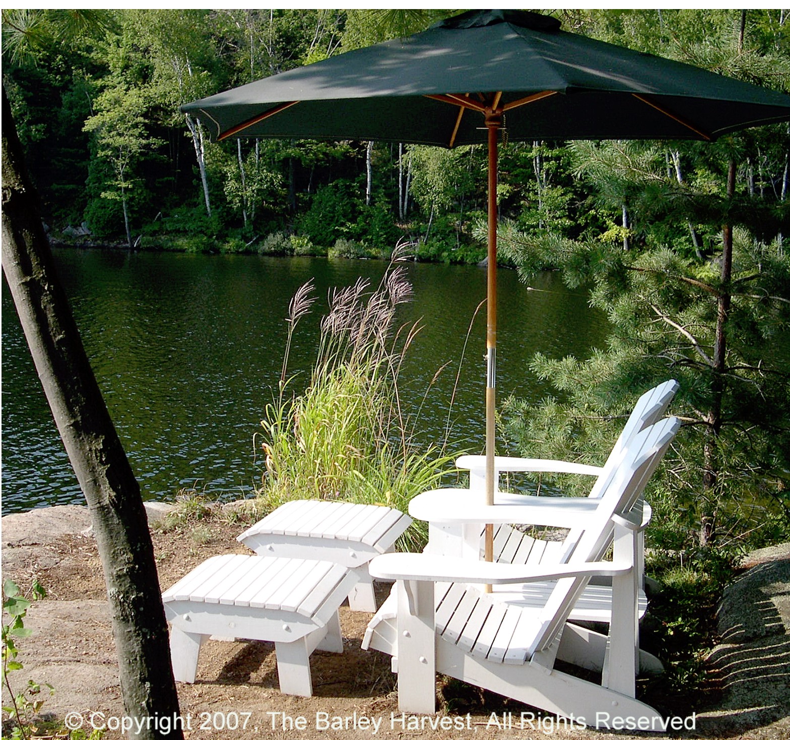 Adirondack Chair &amp; Settee Plans